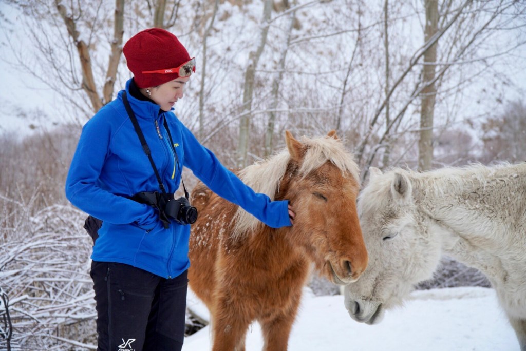 Ngôi nhà cho người mê dịch chuyển